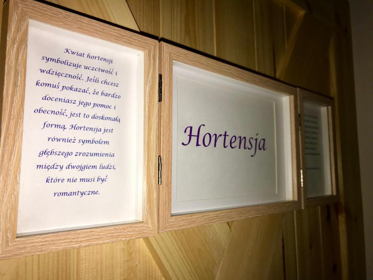 Willa Bonaluti Mirsk Zewnętrze zdjęcie